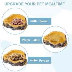 Reptile Food Bowl Reptile Feeding Dish Corner Bowl m 7.1″ Yellow