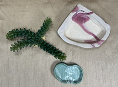 Lot of 3 Reptile Imagitarium Accessories: 1 Small Succulent + 2 Dishes