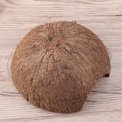 Coconut Hide for Crested Gecko Natural Reptile Hideouts Hut Cave Habitat