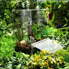 Acrylic Tarantula Enclosure Jumping Spider Enclosure with Front Opening Door …