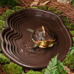 Extra Large Reptile Bathing Pool Reptile Feeding Dish Water Bowl with Ramp Aq…