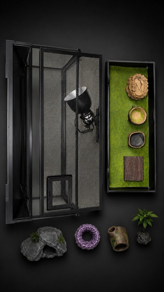 reptile tank with accessories