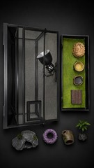 reptile tank with accessories