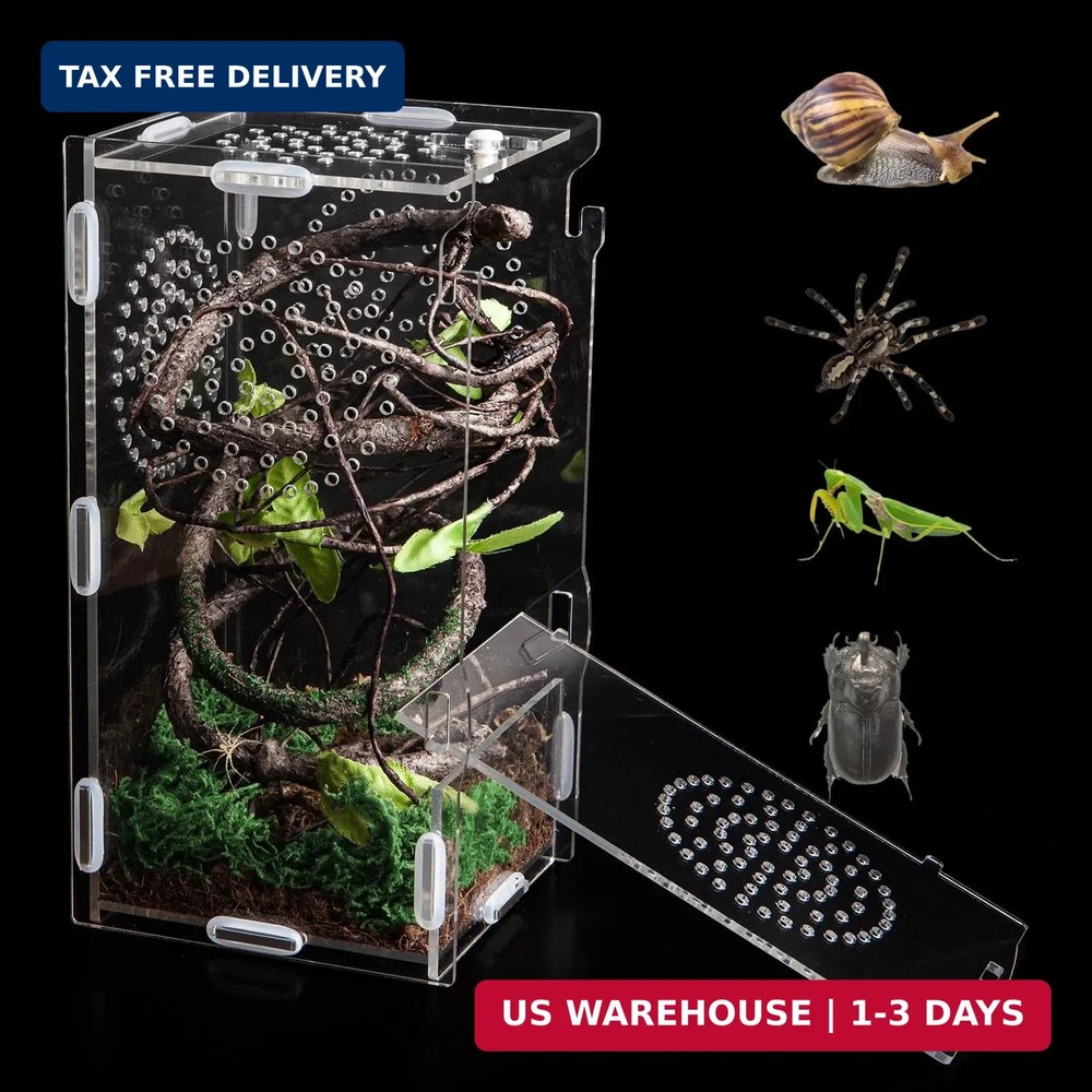 Jumping Spider Enclosure, Acrylic Praying Mantis Habitat, 8″*4″*4″ Insect Terrar