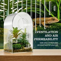 Clear Acrylic Spider Enclosure Kit – Ventilated Habitat for Jumping Spiders, Tar