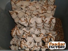 Live Superworms – 50-2000 counts – 4 different sizes – FREE SHIPPING!
