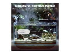 Turtle Tank Accessories Set Detachable Shell Cleaning Brush & 3 Floating Balls