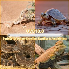 2 Pack T5 HO 10.0 UVB Reptile Bulb 24W, 22-Inch UVA UVB Light for Reptiles, F…