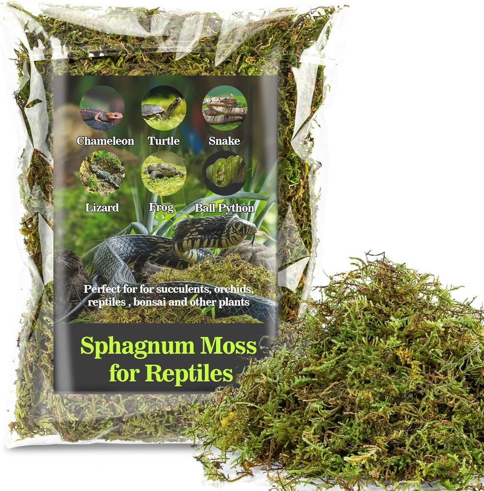 Sphagnum Moss for Reptiles – Terrarium Reptiles Moss Green Dried Peat Moss Habit