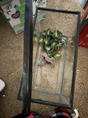 Reptile Set Up Pet Supplies
