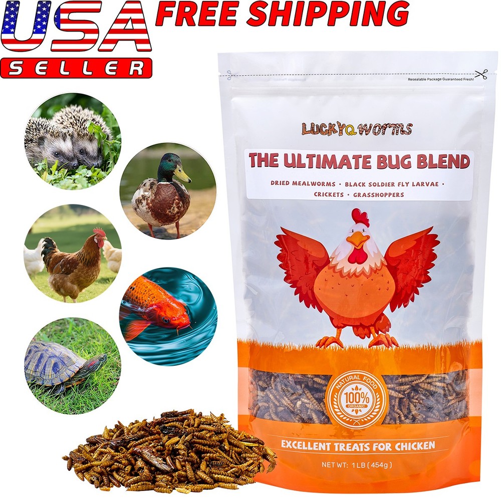 Dried Insect Trail Mix High Protein Natural Treat for Chickens Birds Reptiles