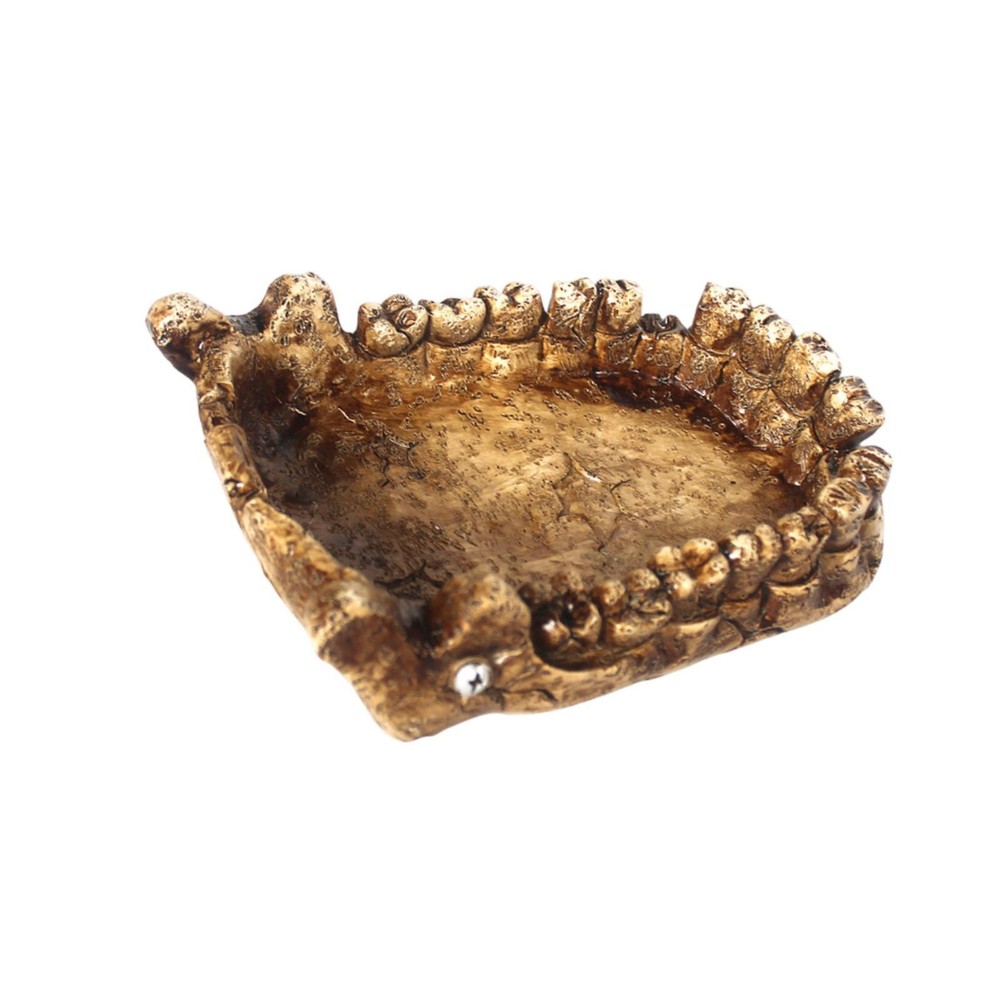 Reptile Feeding Bowl Simulation Dinosaur Jaw Shape Habitat Accessories