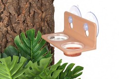 CRITTZOO 100PCS 0.5oz Crested Gecko Food Dish Cups 0.01 Ounce (Pack of 100)