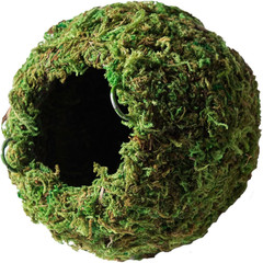 Galápagos (05346) Mossy Cave Hide, 4″, Green