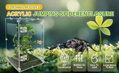 Large Jumping Spider Enclosure Tarantula Front Opening Door Reptile Suitable