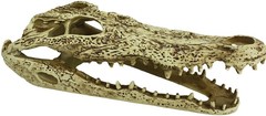 Reptile, Komodo Alligator Skull Terrarium Decoration (1 count)