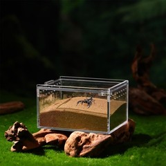 3 Pieces Reptile Tarantula Enclosure Case for Scorpion Breeding Tank