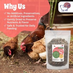 Dried Crickets (2.2 lbs) for Reptiles, Birds, and Small Pets – Natural Insect…