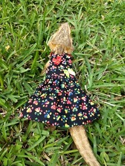 Bearded dragon Dress