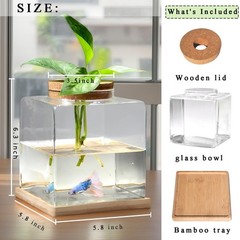Desktop Betta Fish Tank with Wood Lid and Bamboo Stand Small Fish Bowl Glass …