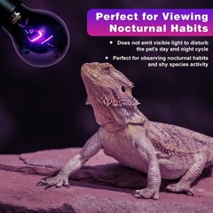 Reptile Heat Lamp 50W 2 Pack, Reptile Night Heat Bulb, Reptiles & Amphibians …