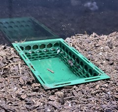 Hermit Crab Pool Underground Tank Decoration Climbing Toys Ornament Accessories