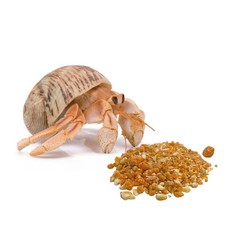 Fruit Based Hermit Crab Treat 1.5 Ounce Indefinite Shelf Life Premium Food