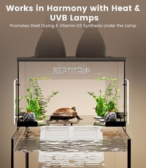 Turtle Basking Platform for 10-13 Inchs Wide Aquariums – Last Long Stainless …