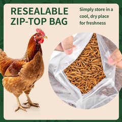 Dried Mealworms 5LB, 100% Natural, Non-Gmo Mealworms for Chickens – High Protein