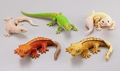 capsuleQ Gecko Encyclopedia 2 Crested Gecko [Complete set of all 5 types]