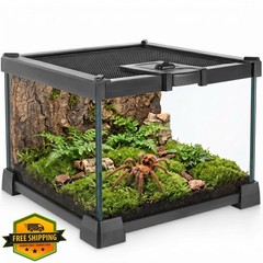 NEPTONION Mini Glass Terrarium Vivarium 8x8x6″
