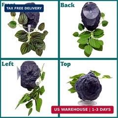 Reptile Water Dish with Dripper, Adjustable Wall-Mounted Water Bowl for Terrariu