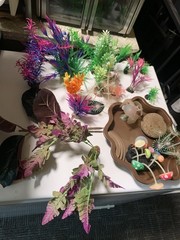 20 gallon terrarium with accessories