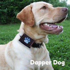 Dapper Dog Pet Tag Silencer – Ballistic Nylon (Black with Blue Paw Print)