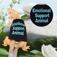 Adjustable Bearded Dragon Harness and Leash Set for Outdoor Training