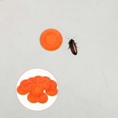 12 Pcs Feeder Cricket and Roach Bowl Enclosures Food Dishes