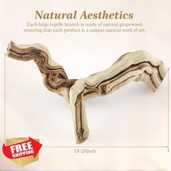 Janinka Reptile Branch 18-20″