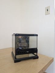 Exo Terra Natural Terrarium Advanced Reptile Habitat, Nano, Wide – 8 x 8 x 8 IN