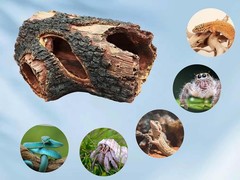 Resin Simulation Tree Hideout Reptile Tank Accessories Hermit Crab Climbing Toy