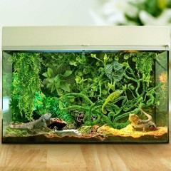 QUOZUO Bearded Dragon Tank Accessories for Habitat, Terrarium Hanging Plants …