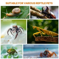 GTSEEMUU Jumping Spider Enclosure, Insect 4.7″ x 4.3″ x 7.8″, Clear