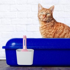 NOLITOY Cat Litter Scoop Holder Compact Plastic Stand Light Grey Organizer Ca…