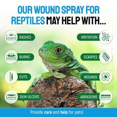 Reptile Wound Care Spray with Silver – for Wounds, Cuts, Scale Rot, Burns,