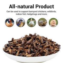 1 lb Dried Crickets Natural Insect Food for Reptiles Birds Chicken Fish Hamsters