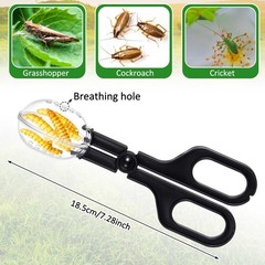 Jingmore 4 Pcs Bearded Dragon Food Bowl Set Reptile as shown in the picture