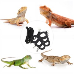 Crawl Pet Leash Beard Dragon Walking Leash Reptile Supply Outdoor Accessories
