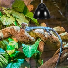 2 Sets Lamp Cover for Reptile Habitat Heating Lampshade