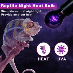 Reptile Heat Lamp 50W 2 Pack, Reptile Night Heat Bulb, Reptiles & Amphibians …