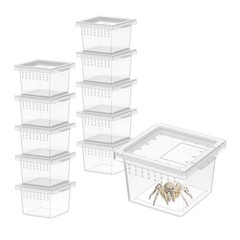 Pawfly Mini Spider Terrarium | 10 Pcs Breeding Box | Compact & Portable
