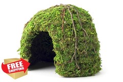 Galapagos Mossy Dome Hide, 6 in, Galápagos Green